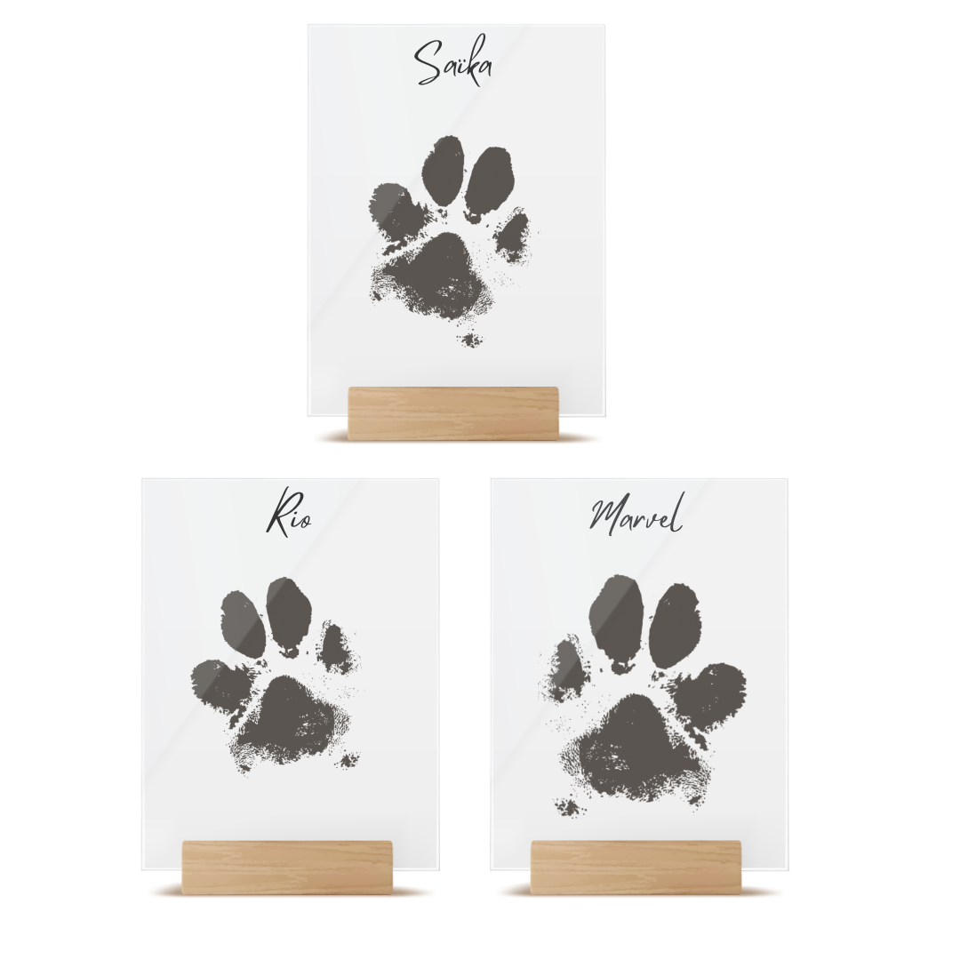 Pearhead Cadre photo et kit d'empreintes de pattes d'animaux de compagnie,  kit d'empreintes de pattes d'argile sans cuisson, souvenir d'empreintes de  pattes de chien ou de chat, cadre photo : : Animalerie