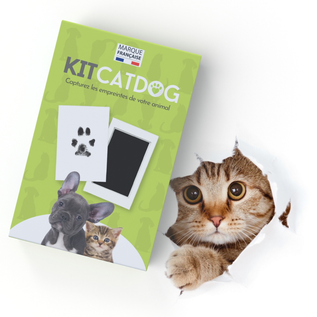 COFFRET KIT POUR realiser une empreinte de patte de votre animal chien,chat  EUR 9,50 - PicClick FR