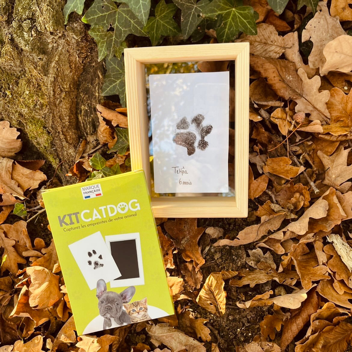 YOYIAG Kit d'empreintes de pattes pour chien et chat, cadre photo